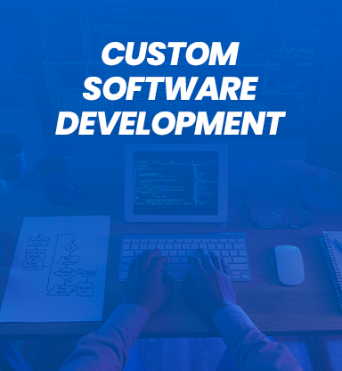 custom software development blog img